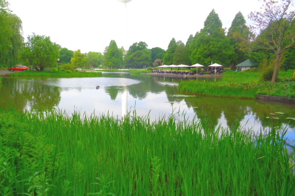 Planten un Blomen Lake in Park