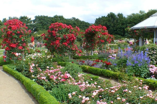 Planten un Blomen Park, Hamburg